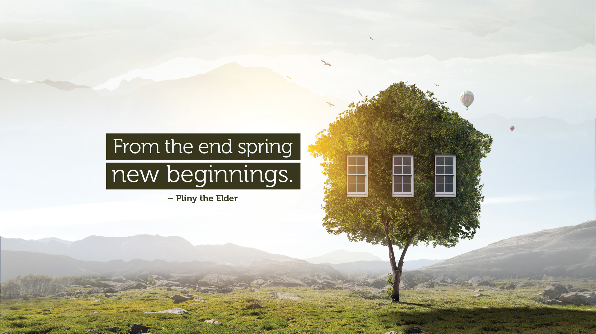 tmsi spring new beginnings website Tidewater Mortgage Services Inc